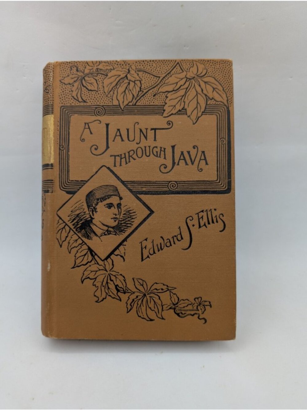Antique 1888 A Jaunt Through Java: The Story of A Journey to The Sacred Mountain